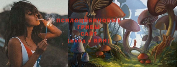 альфа пвп Богданович