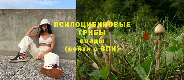 круглые Богородицк