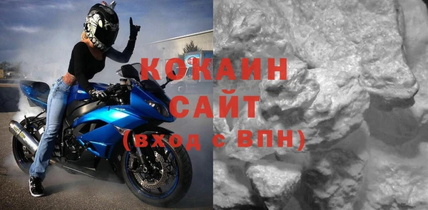 шишки Белокуриха