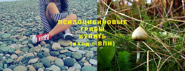 винт Богородск
