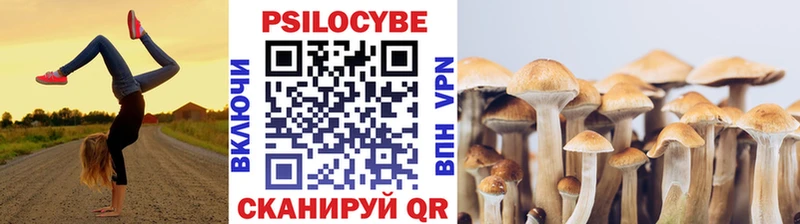 купить наркотик  Светлогорск  Галлюциногенные грибы Psilocybine cubensis 